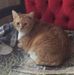 Sharon Hirsch - Facebook