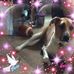 Sharon Hirsch - Facebook