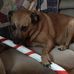 Sharon Hirsch - Facebook