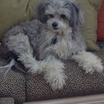 Sharon Ramsey Hirsch - @sharon.r.hirsch - Instagram