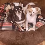 Sharon Hite Calvin - @sharon.calvin.52 - Instagram