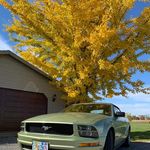 Sharon Hixson - @sharon.hixson.10 - Instagram
