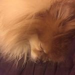 Sharon Hoard - @hoardsl - Instagram