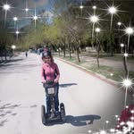 Sharon Holstege - @holstegesharon - Instagram