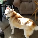 Sharon Holtz - @sharonlholtz - Instagram