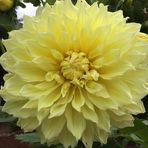 Sharon Holtz - Facebook