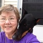 Sharon Holub - @shhbirds - Instagram
