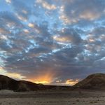 Sharon Holzer - @sharonchick - Instagram