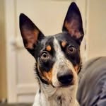 Sharon Hook - @sharon.m.purnell - Instagram