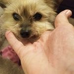 sharon hook - @sharonhook008 - Instagram