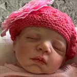 Sharon Hoover - @baby_stepping_reborns - Instagram