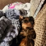Sharon Hoover - @iced_sugar98_ - Instagram