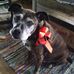 Sharon Purkey Houck - Facebook