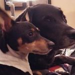 Sharon Houle - @houlesharon - Instagram