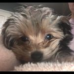 Sharon Houle Poulin - @slp2355 - Instagram