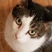 Sharon Howerton - Facebook