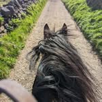 Sharon Hubbard - @rivingtonequestrian - Instagram