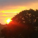 Sharon Huggins - @mrshuggy614 - Instagram