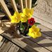 Sharon Hurley - Facebook