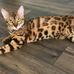 Sharon Wishner Huskey - Facebook