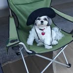 Sharon Huss - Facebook