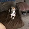 Sharon Huss Hand - @sharon.huss.hand - TikTok