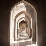 Sharon Hussein - @sharon.hussein - Instagram
