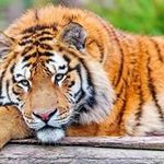 Sharon Hussey - @sharon.h123 - Instagram