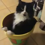 Sharon huston - @bina0930 - Instagram