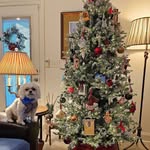 Sharon Hutton - @sharon.hutton.908 - Instagram