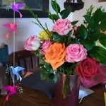 Sharon Ingalls - @ingalls8413 - Instagram
