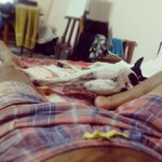 Sharon Irving - @panetmagama - Instagram