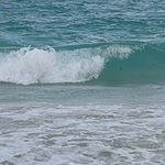Sharon Isbell - @rabbidphotography - Instagram
