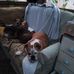 Sharon Isbell - Facebook