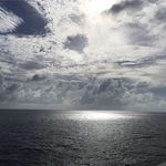 Sharon Isbell - @isbell2093 - Instagram