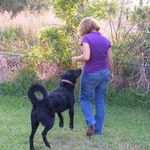 sharon gilmore - @sharon.ives - Instagram