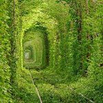 Sharon Ives - @sharon_ives - Instagram