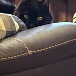 Sharon Winsauer Ives - @winsauerives - Instagram
