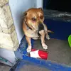 Sharon Jang - @2180363906 - TikTok