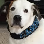 Sharon Stanley Jarrell - @ssjarrell1 - Instagram