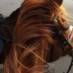 Sharon Jefferies - @sharonjefferies1 - Instagram