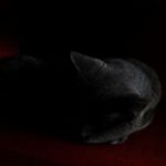 Sharon Jerome - @sharon.jerome_.9._ - Instagram