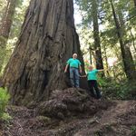 Sharon Jorgenson - @sharon_jorgenson2 - Instagram