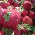 Sharon Judd - @meadowlynnfarms - Instagram