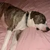 sharonjudy42 - @sharonjudy42 - TikTok