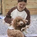 Sharon Jun - Facebook