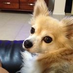 Sharon Kain - @runnawaybus - Instagram