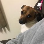 Sharon Kaminski - @shags70 - Instagram