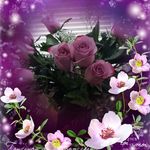Sharon Kaminski - @froghappi - Instagram
