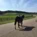 Sharon Karnes - Facebook